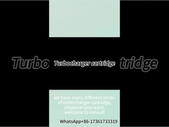 الكارتون CHRA